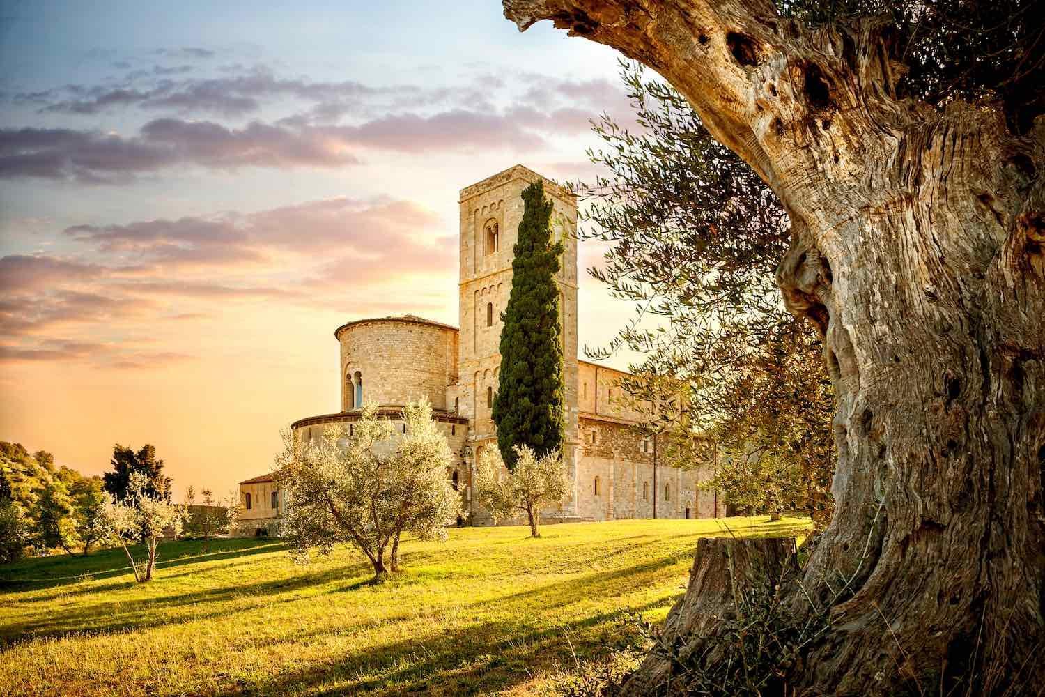 Corte Francigena مونتالشينو المظهر الخارجي الصورة